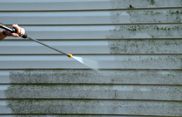 Best Vinyl Siding Pressure Washing in Tahoma, CA